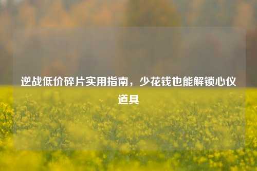 逆战低价碎片实用指南,少花钱也能解锁心仪道具