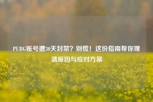 PUBG账号遭30天封禁?别慌!这份指南帮你理清原因与应对方案