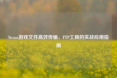 Steam游戏文件高效传输,FTP工具的实战应用指南