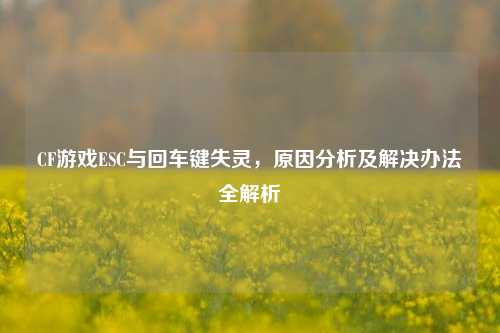 CF游戏ESC与回车键失灵,原因分析及解决办法全解析