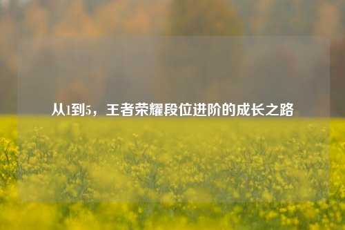 从1到5,王者荣耀段位进阶的成长之路
