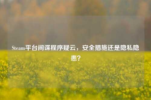 Steam平台间谍程序疑云,安全措施还是隐私隐患?