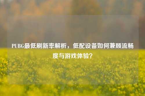 PUBG更低刷新率解析,低配设备如何兼顾流畅度与游戏体验?