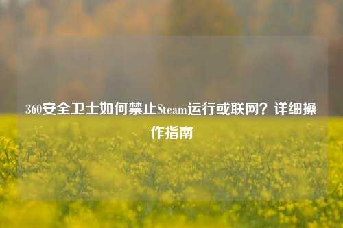 360安全卫士如何禁止Steam运行或联网?详细操作指南