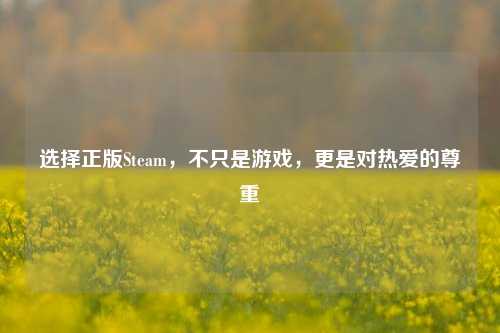 选择正版Steam,不只是游戏,更是对热爱的尊重