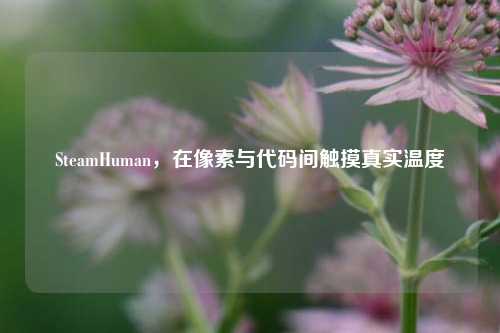 SteamHuman,在像素与代码间触摸真实温度