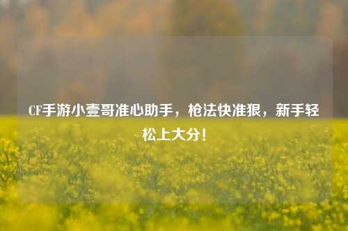 CF手游小壹哥准心助手,枪法快准狠,新手轻松上大分!