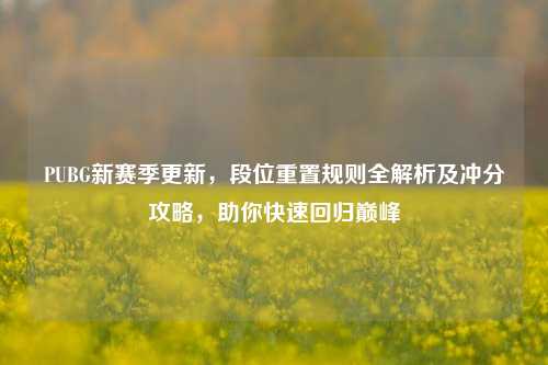 PUBG新赛季更新,段位重置规则全解析及冲分攻略,助你快速回归巅峰