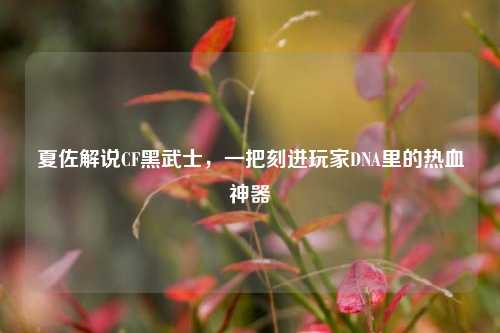 夏佐解说CF黑武士,一把刻进玩家DNA里的热血神器