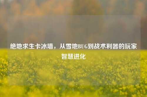 绝地求生卡冰墙,从雪地BUG到战术利器的玩家智慧进化