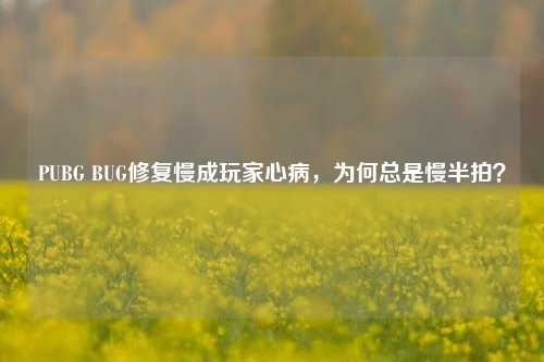 PUBG BUG修复慢成玩家心病,为何总是慢半拍?