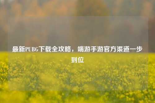 最新PUBG下载全攻略,端游手游官方渠道一步到位