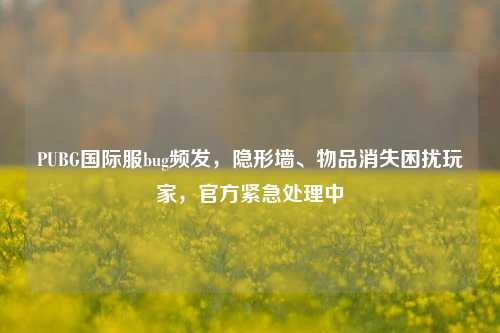 PUBG国际服bug频发,隐形墙、物品消失困扰玩家,官方紧急处理中