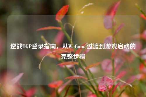 逆战TGP登录指南，从WeGame过渡到游戏启动的完整步骤