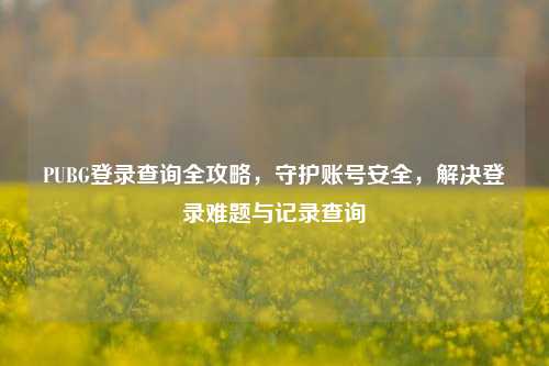 PUBG登录查询全攻略，守护账号安全，解决登录难题与记录查询
