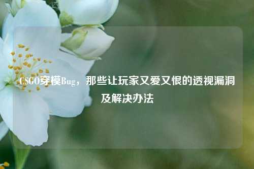 CSGO穿模Bug,那些让玩家又爱又恨的透视漏洞及解决办法