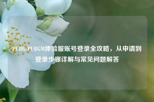 PUBG/PUBGM体验服账号登录全攻略，从申请到登录步骤详解与常见问题解答