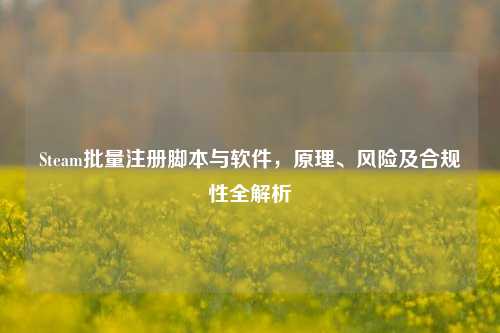 Steam批量注册脚本与软件，原理、风险及合规性全解析