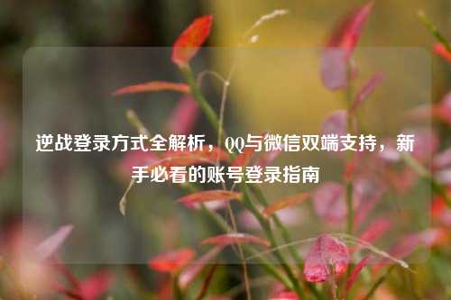 逆战登录方式全解析， *** 与微信双端支持，新手必看的账号登录指南