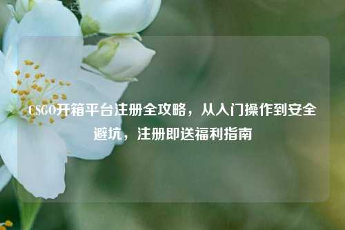 CSGO开箱平台注册全攻略，从入门操作到安全避坑，注册即送福利指南