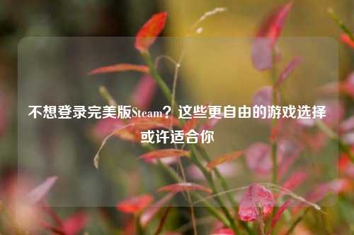 不想登录完美版Steam？这些更自由的游戏选择或许适合你